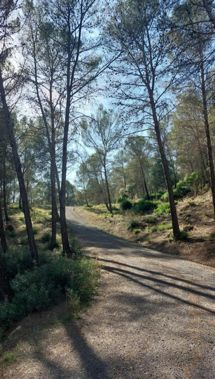 Atico-plaza Algodonales